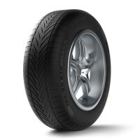 G-Force Winter