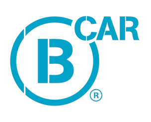 B Car